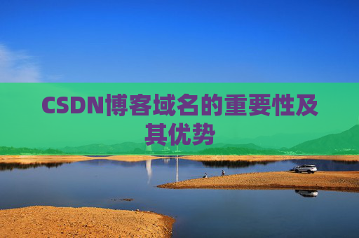 CSDN博客域名的重要性及其优势